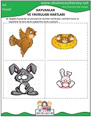 Hayvanlar ve Yavruları Eğitici Kartları